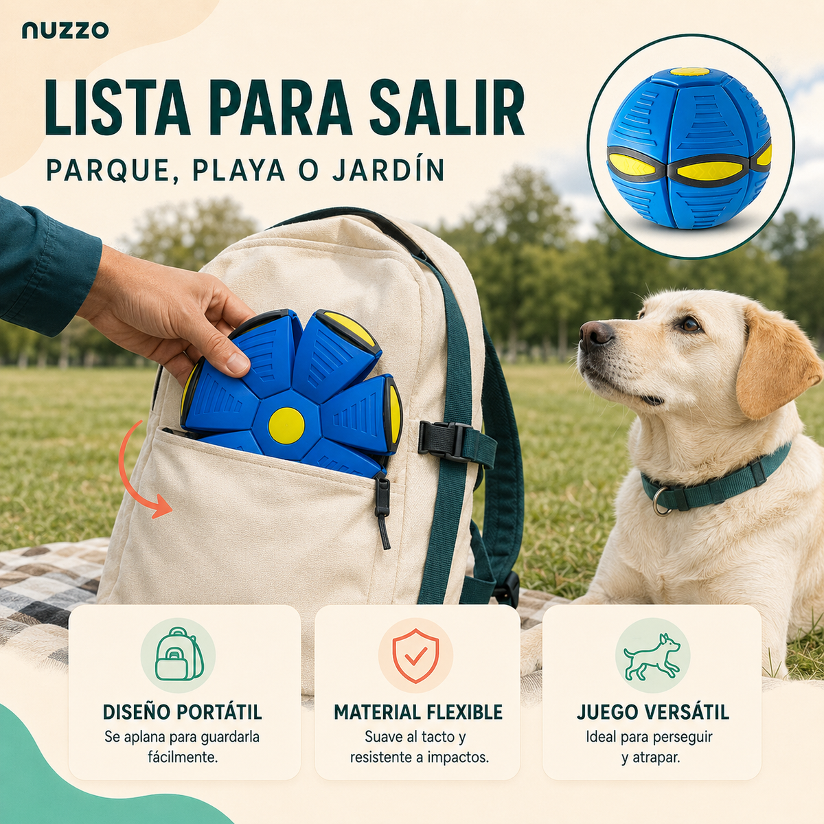 Pelota Voladora