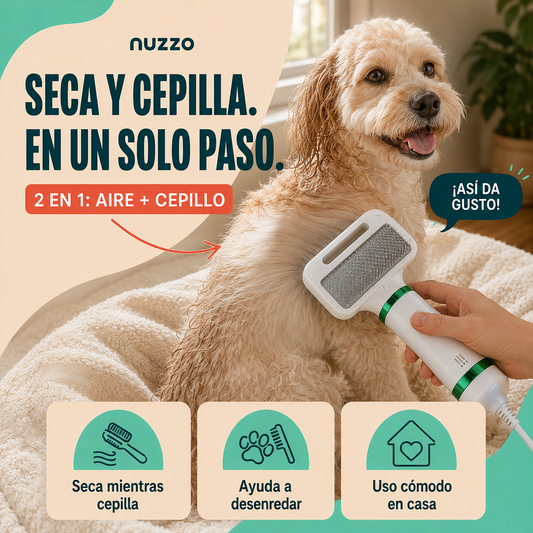 Secador De Mascotas 2 En 1